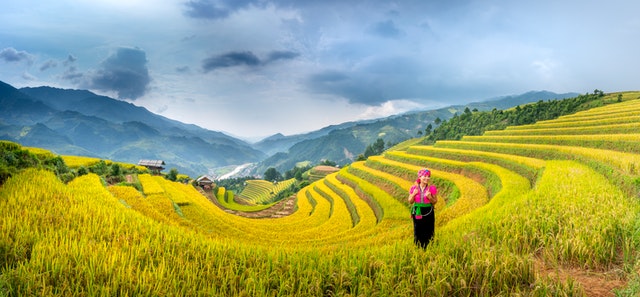 yield farming